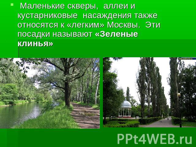 Маленькие скверы, аллеи и кустарниковые насаждения также относятся к «легким» Москвы. Эти посадки называют «Зеленые клинья»