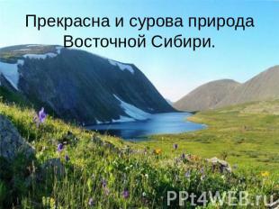 Прекрасна и сурова природа Восточной Сибири.