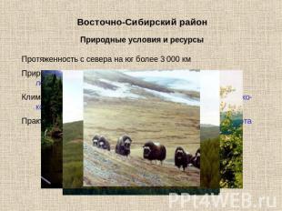 Восточно-Сибирский район Природные условия и ресурсы Протяженность с севера на ю