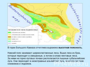 В горах Большого Кавказа отчетлива выражена высотная поясность. Нижний пояс зани