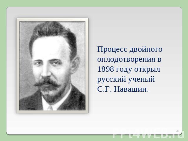Процесс двойного оплодотворения в 1898 году открыл русский ученый С.Г. Навашин.