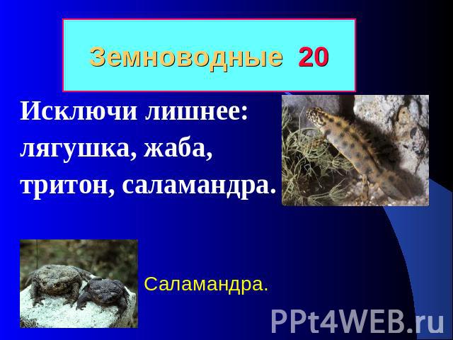 Земноводные 20 Исключи лишнее: лягушка, жаба, тритон, саламандра. Они обитают на суше, а размножаются в воде. Саламандра.