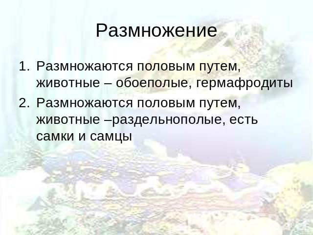 Размножение Размножаются половым путем, животные – обоеполые, гермафродиты Размножаются половым путем, животные –раздельнополые, есть самки и самцы