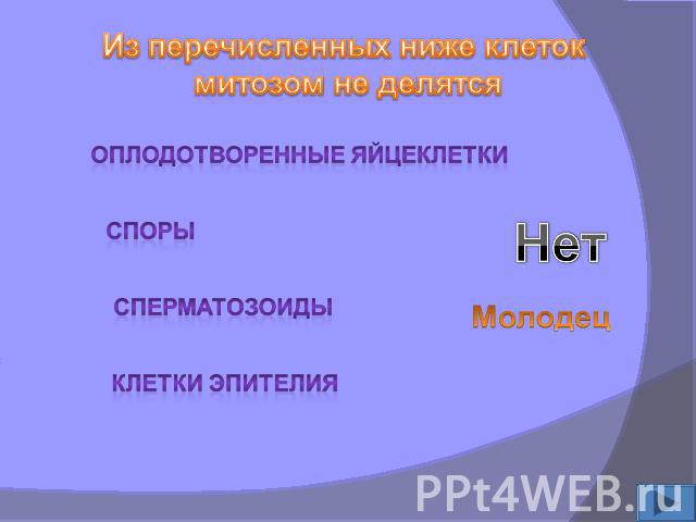 Из перечисленных ниже клеток митозом не делятся Оплодотворенные яйцеклетки споры сперматозоиды Клетки эпителия Молодец Нет