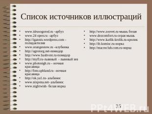Список источников иллюстраций www.idrusogorod.ru –арбуз www.24 open.ru –арбуз ht
