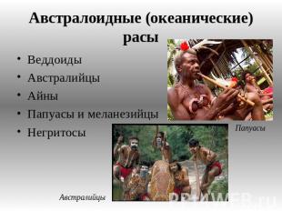 Австралоидные (океанические) расы Веддоиды Австралийцы Айны Папуасы и меланезийц