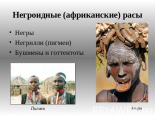 Негроидные (африканские) расы Негры Негрилли (пигмеи) Бушмены и готтентоты Пигме