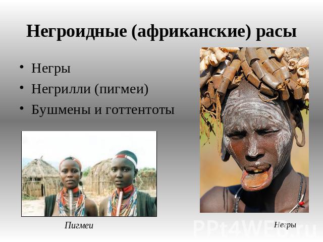 Негроидные (африканские) расы Негры Негрилли (пигмеи) Бушмены и готтентоты Пигмеи Негры