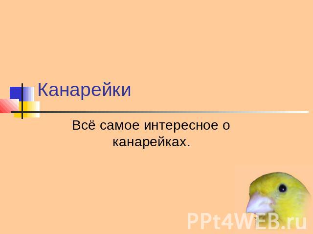 Канарейки Всё самое интересное о канарейках.