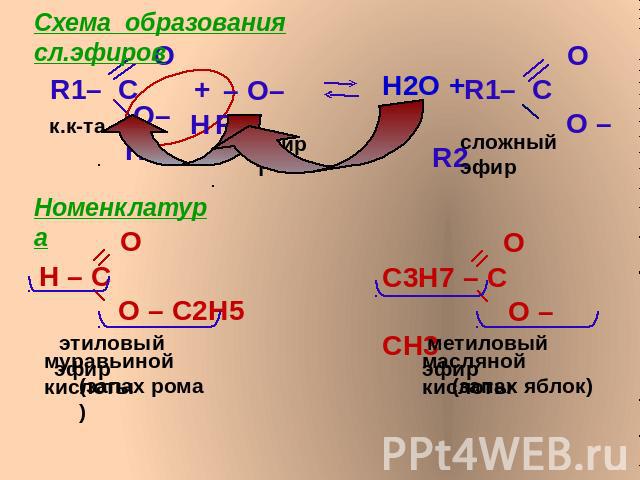 Схема образования сл.эфиров Номенклатура О Н – С О – С2Н5 этиловый эфир муравьиной кислоты (запах рома) О С3Н7 – С О – СН3 метиловый эфир масляной кислоты (запах яблок)