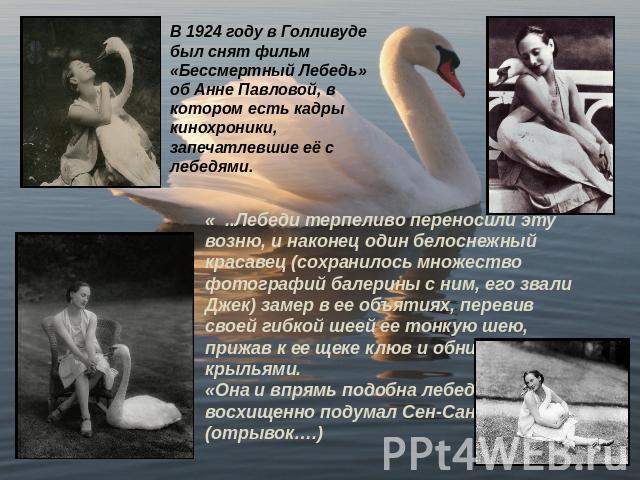В 1924 году в Голливуде был снят фильм «Бессмертный Лебедь» об Анне Павловой, в котором есть кадры кинохроники, запечатлевшие её с лебедями.« ..Лебеди терпеливо переносили эту возню, и наконец один белоснежный красавец (сохранилось множество фотогра…