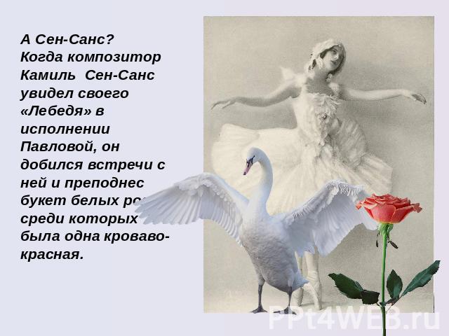 А Сен-Санс? Когда композитор Камиль Сен-Санс увидел своего «Лебедя» в исполнении Павловой, он добился встречи с ней и преподнес букет белых роз, среди которых была одна кроваво-красная.
