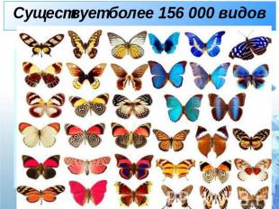Существует более 156 000 видов
