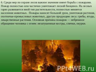 6. Среди мер по охране лесов важное значение имеет борьба с пожарами. Пожар полн