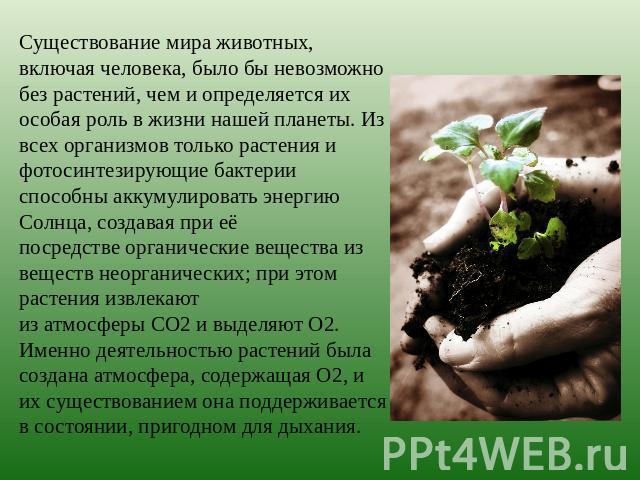 Существование мира животных, включая человека, было бы невозможно без растений, чем и определяется их особая роль в жизни нашей планеты. Из всех организмов только растения и фотосинтезирующие бактерии способны аккумулировать энергию Солнца, создавая…