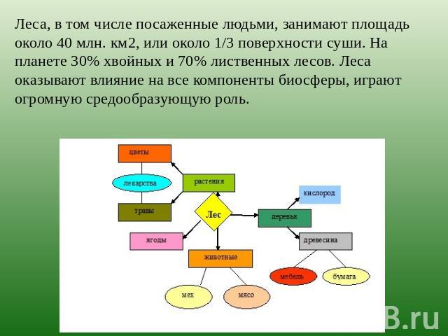 Леса, в том числе посаженные людьми, занимают площадь около 40 млн. км2, или около 1/3 поверхности суши. На планете 30% хвойных и 70% лиственных лесов. Леса оказывают влияние на все компоненты биосферы, играют огромную средообразующую роль.