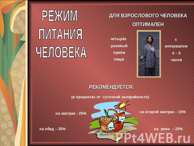 РЕЖИМПИТАНИЯЧЕЛОВЕКАДЛЯ ВЗРОСЛОВОГО ЧЕЛОВЕКА ОПТИМАЛЕНчетырёх разовый приём пищис интервалом 4 – 5 часовРЕКОМЕНДУЕТСЯ: (в процентах от суточной калорийности)на завтрак - 25%на обед – 35%на второй завтрак – 15%на ужин – 25%