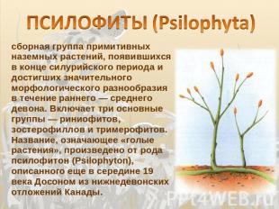 ПСИЛОФИТЫ (Psilophyta) сборная группа примитивных наземных растений, появившихся