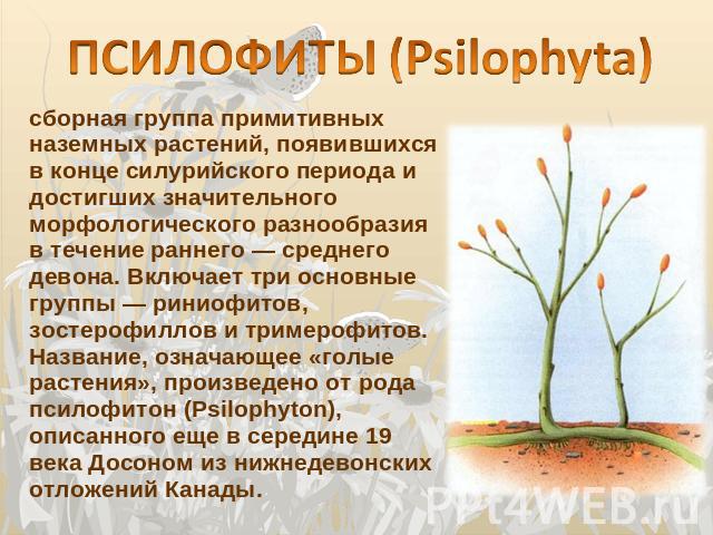 ПСИЛОФИТЫ (Psilophyta) сборная группа примитивных наземных растений, появившихся в конце силурийского периода и достигших значительного морфологического разнообразия в течение раннего — среднего девона. Включает три основные группы — риниофитов, зос…