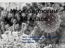 Вирусы – неклеточная форма жизни