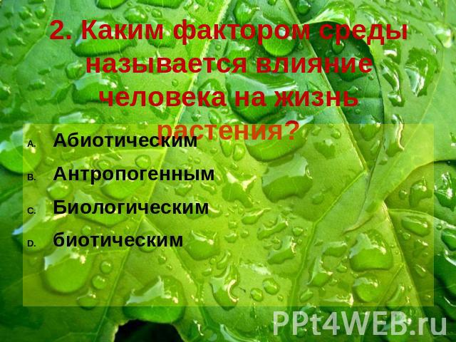 2. Каким фактором среды называется влияние человека на жизнь растения? АбиотическимАнтропогеннымБиологическимбиотическим