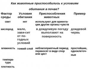 Как животные приспособились к условиям обитания в почве?