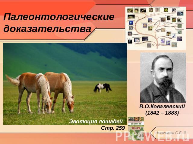 Палеонтологические доказательства Эволюция лошадейСтр. 259В.О.Ковалевский (1842 – 1883)