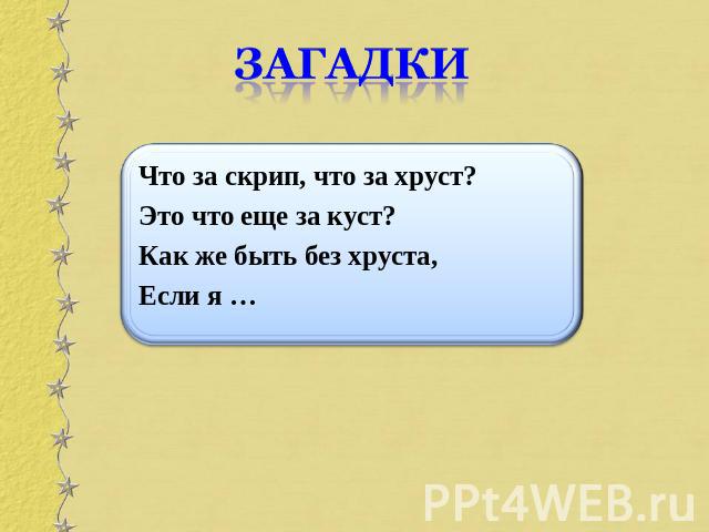 загадки Что за скрип, что за хруст? Это что еще за куст?Как же быть без хруста, Если я …