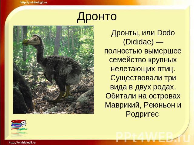 Дронто Дронты, или Dodo (Dididae) — полностью вымершее семейство крупных нелетающих птиц. Существовали три вида в двух родах. Обитали на островах Маврикий, Реюньон и Родригес