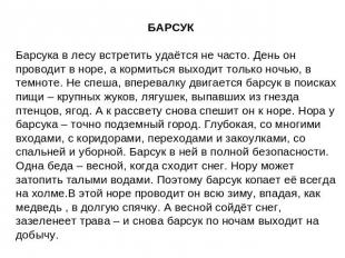 БАРСУК Барсука в лесу встретить удаётся не часто. День он проводит в норе, а кор