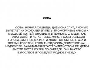 СОВА СОВА - НОЧНАЯ ХИЩНИЦА. ДНЁМ ОНА СПИТ, А НОЧЬЮ ВЫЛЕТАЕТ НА ОХОТУ. БЕРЕГИТЕСЬ