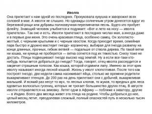 Иволга Она прилетает к нам одной из последних. Прокуковала кукушка и заворожил в