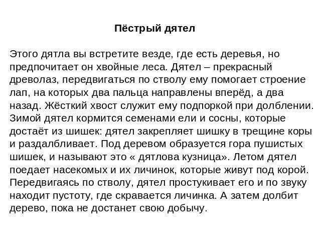 Пёстрый дятел Этого дятла вы встретите везде, где есть деревья, но предпочитает он хвойные леса. Дятел – прекрасный древолаз, передвигаться по стволу ему помогает строение лап, на которых два пальца направлены вперёд, а два назад. Жёсткий хвост служ…