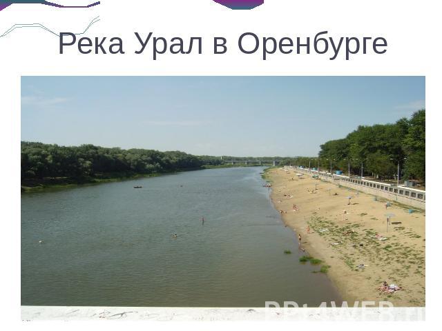 Река Урал в Оренбурге