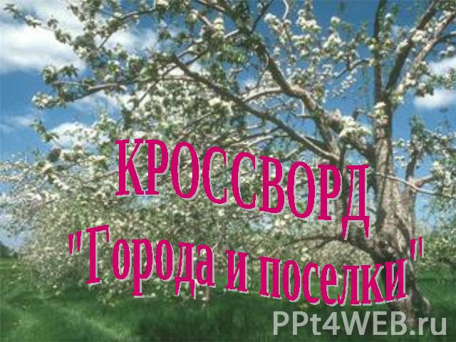 КРОССВОРД 