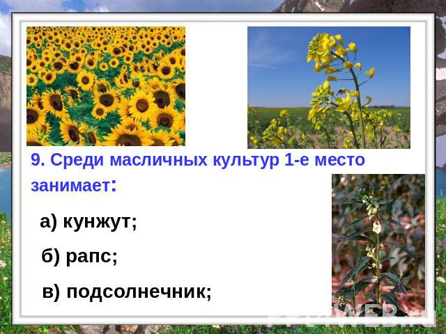 9. Среди масличных культур 1-е место занимает: а) кунжут; б) рапс; в) подсолнечник;