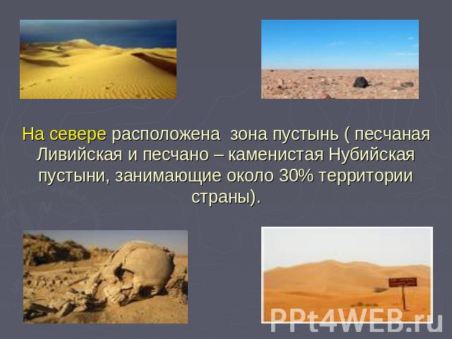 На севере расположена зона пустынь ( песчаная Ливийская и песчано – каменистая Нубийская пустыни, занимающие около 30% территории страны).