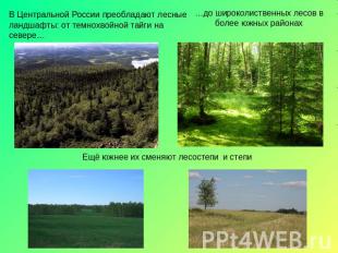 В Центральной России преобладают лесные ландшафты: от темнохвойной тайги на севе
