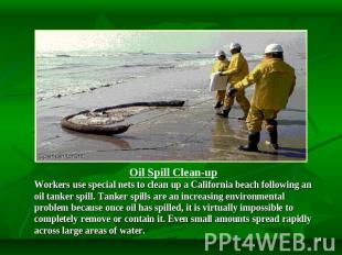 Oil Spill Clean-up Workers use special nets to clean up a California beach follo