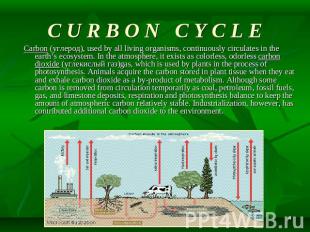 C U R B O N C Y C L E Carbon (углерод), used by all living organisms, continuous