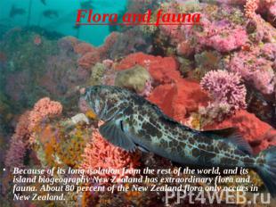 Flora and fauna Because of its long isolation from the rest of the world, and it