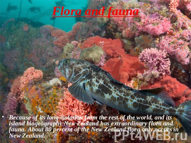 Flora and fauna Because of its long isolation from the rest of the world, and its island biogeography New Zealand has extraordinary flora and fauna. About 80 percent of the New Zealand flora only occurs in New Zealand.