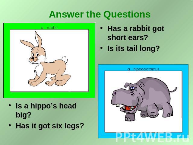 Answer the Questions Is a hippo’s head big? Has it got six legs? Has a rabbit got short ears? Is its tail long?