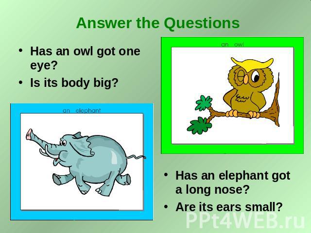 Answer the Questions Has an owl got one eye? Is its body big? Has an elephant got a long nose? Are its ears small?