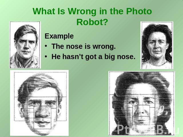 What Is Wrong in the Photo Robot? Example The nose is wrong. He hasn’t got a big nose.
