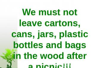 We must not leave cartons, cans, jars, plastic bottles and bags in the wood afte