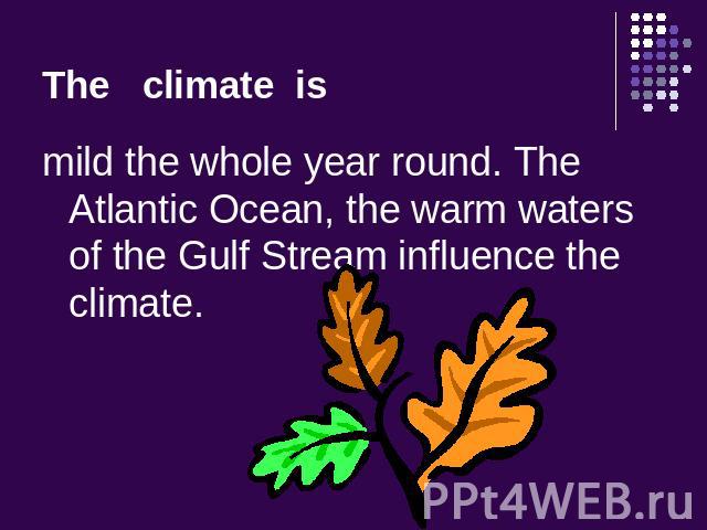 The climate is mild the whole year round. The Atlantic Ocean, the warm waters of the Gulf Stream influence the climate.