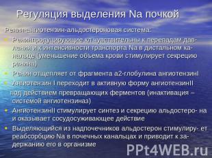 Регуляция выделения Na почкой Ренин-ангиотензин-альдостероновая система: Ренинпр