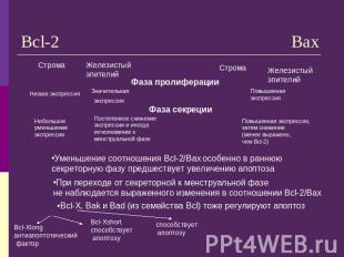 Bcl-2 Bax Уменьшение соотношения Bcl-2/Bax особенно в раннюю секреторную фазу пр