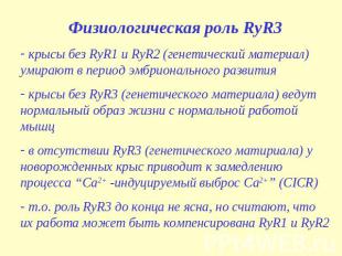 Физиологическая роль RyR3 крысы без RyR1 и RyR2 (генетический материал) умирают